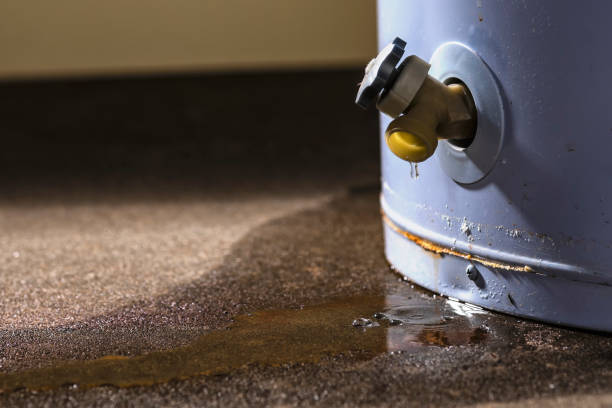 Best Flood damage cleanup  in Manteo, NC