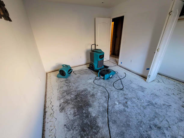 Best Professional water damage repair  in Manteo, NC