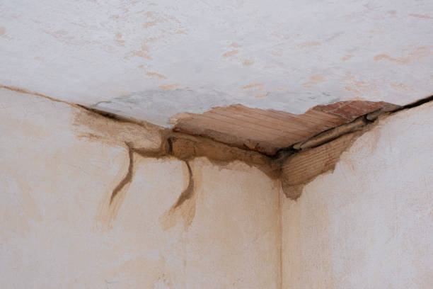 Trusted Manteo, NC Water damage restoration Experts