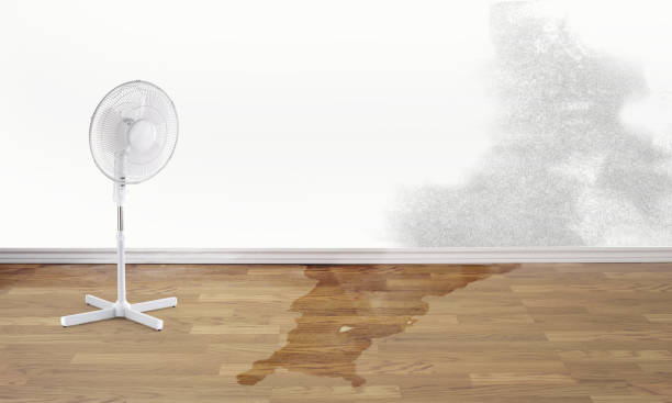 Best Water damage restoration services  in Manteo, NC