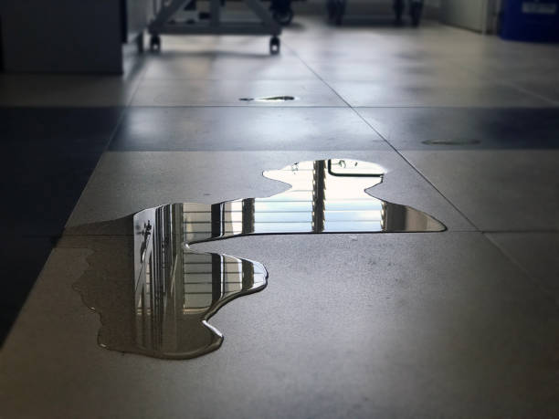 Best Water damage restoration specialists  in Manteo, NC