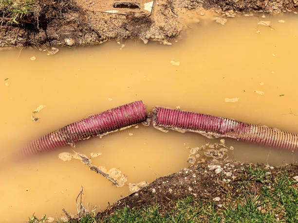 Best Mold removal after water damage  in Manteo, NC